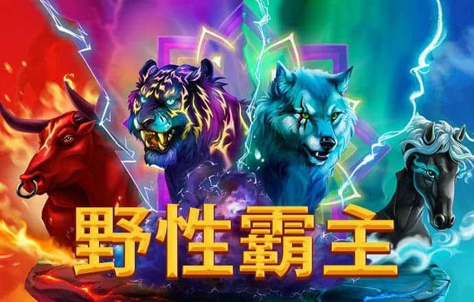 大发彩票657cc最新版本更新内容